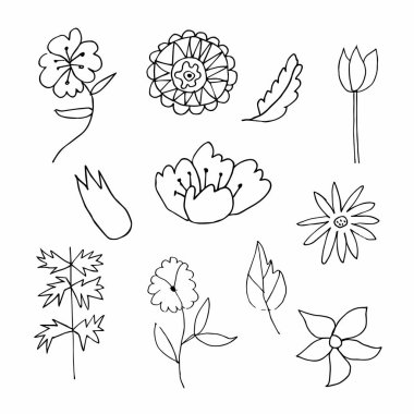 Set of vector flowers and leaves hand drawn clip art. Black line art illustration on a white isolated background. Design for wrapping paper, stickers, cards, packages and coloring.