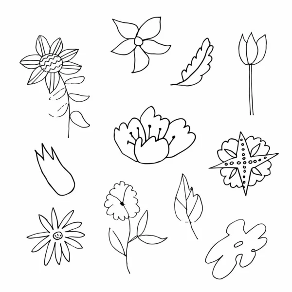 Set Flori Vectoriale Frunze Desenate Manual Clip Art Linie Neagră — Vector de stoc