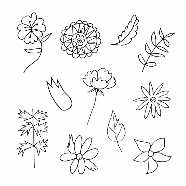 Set of vector flowers and leaves hand drawn clip art. Black line art illustration on a white isolated background. Design for wrapping paper, stickers, cards, packages and coloring.