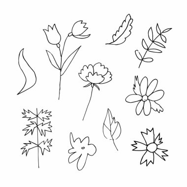 Set of vector flowers and leaves hand drawn clip art. Black line art illustration on a white isolated background. Design for wrapping paper, stickers, cards, packages and coloring.