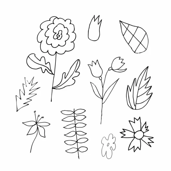 Set Vector Flowers Leaves Hand Drawn Clip Art Black Line — Stock vektor