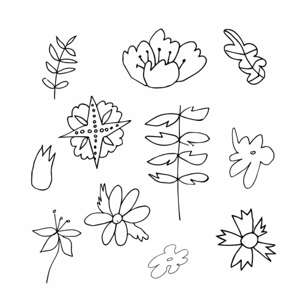 Set Vector Flowers Leaves Hand Drawn Clip Art Black Line — Stock Vector