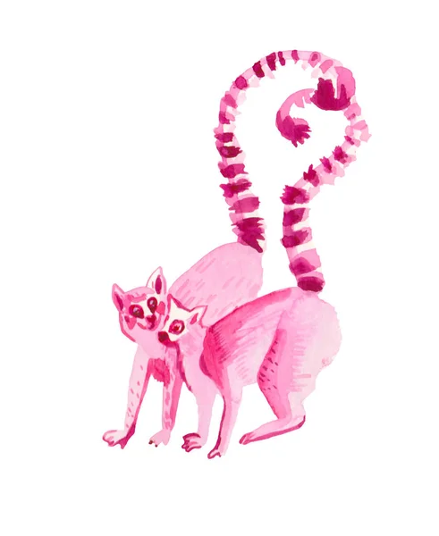 Watercolor in love pink lemurs hand drawn. Valentine 's Day illu — 스톡 사진