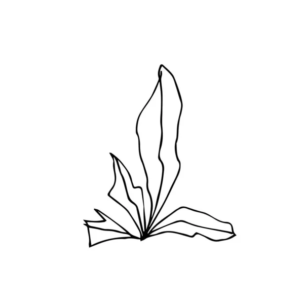 One Vector Sprout Hand Drawn Clip Art Leaves Black Gardening — Stok Vektör