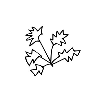 Bir vektör bitki eli şarjör sanatı. Beyaz izole bir arka planda siyah bahçe çizimi çizimi. Paket kağıdı, çıkartma, kart, paket ve renklendirme için tasarım.