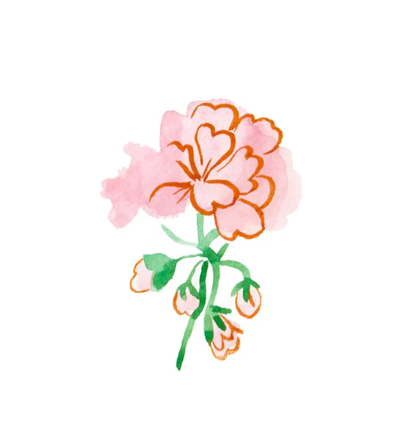 Een aquarel schattig roze geranium hand getekend. Voorjaarsbloemenillustratie op een witte geïsoleerde achtergrond. Ontwerp voor stickers, kaarten, banners, posters, verpakkingen en textiel. — Stockfoto