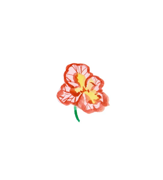 Een aquarel roze en rode viola met de hand getekend. Voorjaarsbloesem — Stockfoto