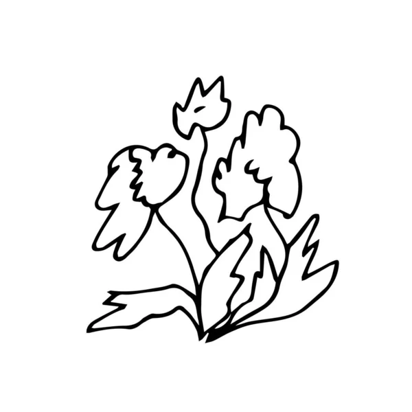 Jeden Wektor Kwiaty Ręcznie Rysowane Klip Sztuki Czarny Ogród Ilustracji — Wektor stockowy