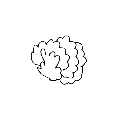 One vector sprout with hand drawn clip art leaves. Black gardening illustration line art on a white isolated background. Design for wrapping paper, stickers, cards, packages and coloring.