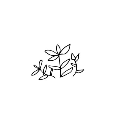 One vector sprout with hand drawn clip art leaves. Black gardening illustration line art on a white isolated background. Design for wrapping paper, stickers, cards, packages and coloring.