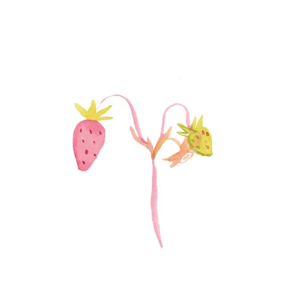 Akvarel růžová jahoda se zeleným stonkem. Ilustrace berrie — Stock fotografie