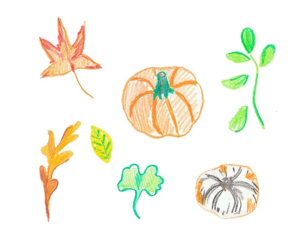 Set of pumpkin and leaves hand drawn wax crayons.Autumn illustrations with isolated white background. Design for stickers,banners,textiles,wallpaper, packaging,wrapping paper,cards,illustrations. — 스톡 사진