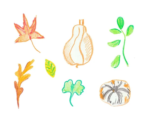 Set of pumpkin and leaves hand drawn wax crayons.Autumn illustrations with isolated white background. Design for stickers,banners,textiles,wallpaper, packaging,wrapping paper,cards,illustrations. — 스톡 사진