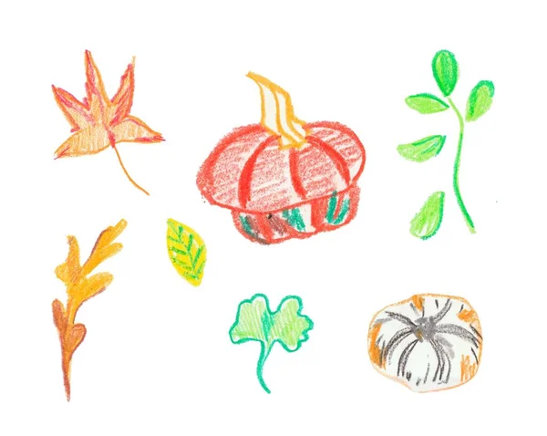 Set pompoenen en bladeren met de hand getekende waskrijtjes. Herfst illustraties met geïsoleerde witte achtergrond. Ontwerp voor stickers, spandoeken, textiel, behang, verpakking, pakpapier, kaarten, illustraties. — Stockfoto