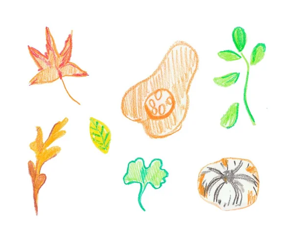 Set pompoenen en bladeren met de hand getekende waskrijtjes. Herfst illustraties met geïsoleerde witte achtergrond. Ontwerp voor stickers, spandoeken, textiel, behang, verpakking, pakpapier, kaarten, illustraties. — Stockfoto