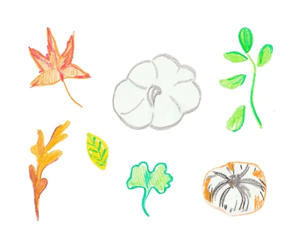 Set pompoenen en bladeren met de hand getekende waskrijtjes. Herfst illustraties met geïsoleerde witte achtergrond. Ontwerp voor stickers, spandoeken, textiel, behang, verpakking, pakpapier, kaarten, illustraties. — Stockfoto