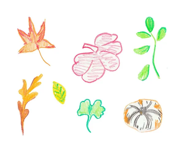 Set of pumpkin and leaves hand drawn wax crayons.Autumn illustrations with isolated white background. Design for stickers,banners,textiles,wallpaper, packaging,wrapping paper,cards,illustrations. — 스톡 사진