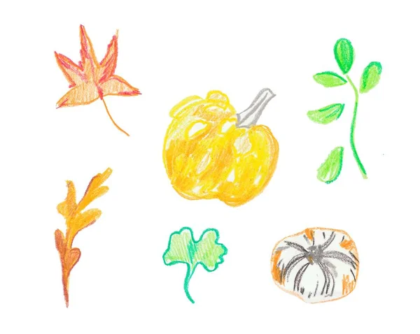 Set of pumpkin and leaves hand drawn wax crayons.Autumn illustr — 스톡 사진