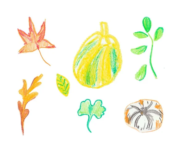 Set of pumpkin and leaves hand drawn wax crayons.Autumen illustr — 스톡 사진