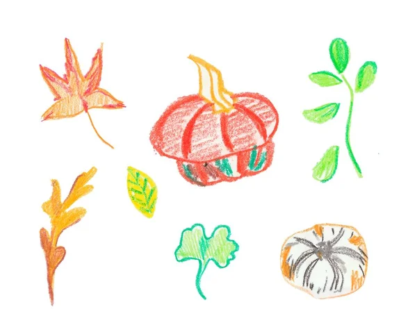 Set di zucca e foglie pastelli di cera disegnati a mano. — Foto Stock