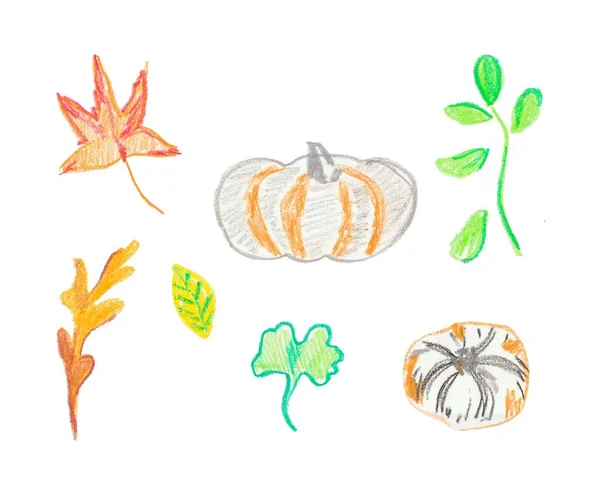 Set of pumpkin and leaves hand drawn wax crayons.Autumen illustr — 스톡 사진