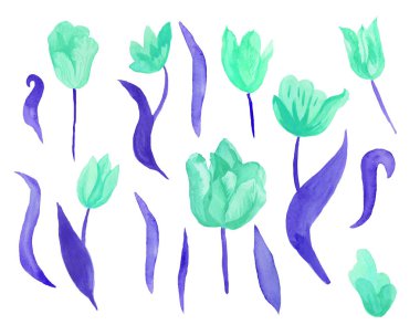 Yapraklı şirin pembe suluboya laleler. Botanik bahar çiçeklerinin beyaz yalıtılmış arka plan çizimine tırman. Düğünler, hediye kartları, tekstil ve çıkartmalar için tasarım.