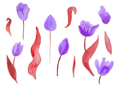 Yapraklı şirin pembe suluboya laleler. Botanik bahar çiçeklerinin beyaz yalıtılmış arka plan çizimine tırman. Düğünler, hediye kartları, tekstil ve çıkartmalar için tasarım.