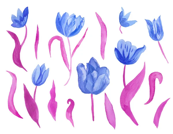 A set of cute pink watercolor tulips with leaves. Clipart collection of botanical spring flowers on white isolated background hand drawn. Design for weddings, gift cards, textiles and stickers. — Stock Photo, Image