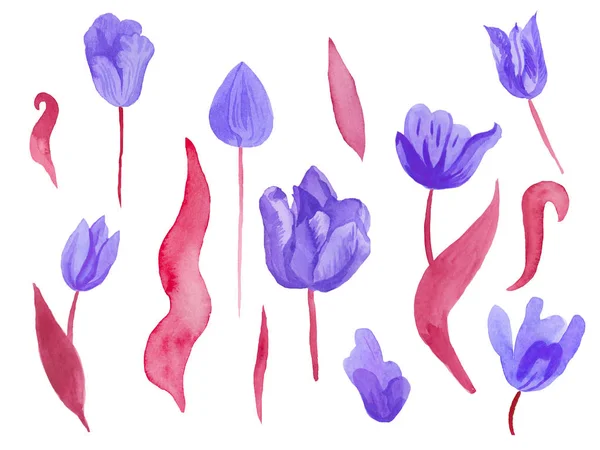 A set of cute pink watercolor tulips with leaves. Clipart collection of botanical spring flowers on white isolated background hand drawn. Design for weddings, gift cards, textiles and stickers. — Stock Photo, Image