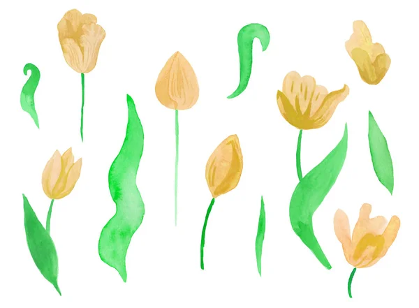 Un ensemble de tulipes d'aquarelle rose mignon avec des feuilles. Clipart collection de fleurs botaniques de printemps sur fond blanc isolé dessiné à la main. Conception pour mariages, cartes cadeaux, textiles et autocollants . — Photo