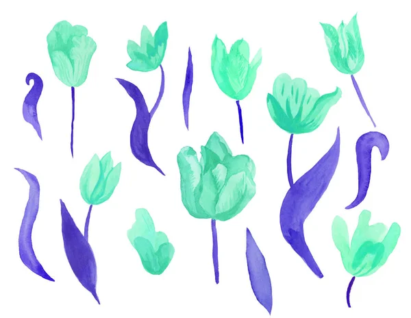 Sada roztomilých růžových akvarelových tulipánů s listy. Clipart kolekce botanických jarních květin na bílém izolovaném pozadí ručně kreslené. Design pro svatby, dárkové poukazy, textil a samolepky. — Stock fotografie