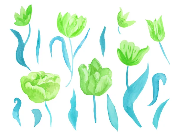 Sada roztomilých růžových akvarelových tulipánů s listy. Clipart kolekce botanických jarních květin na bílém izolovaném pozadí ručně kreslené. Design pro svatby, dárkové poukazy, textil a samolepky. — Stock fotografie