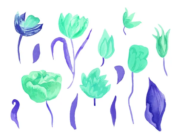 Sada roztomilých růžových akvarelových tulipánů s listy. Clipart kolekce botanických jarních květin na bílém izolovaném pozadí ručně kreslené. Design pro svatby, dárkové poukazy, textil a samolepky. — Stock fotografie