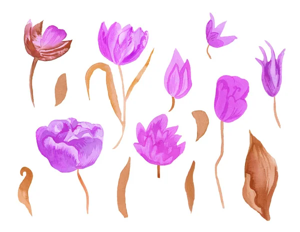 Sada roztomilých růžových akvarelových tulipánů s listy. Clipart kolekce botanických jarních květin na bílém izolovaném pozadí ručně kreslené. Design pro svatby, dárkové poukazy, textil a samolepky. — Stock fotografie
