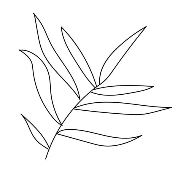 The vector leaf of the palm hand drawn. Tropical and botanical illustration black line art on a white isolated background. Design for web,social networks,textiles,stickers, cards, packaging,wallpaper. — Stok Vektör