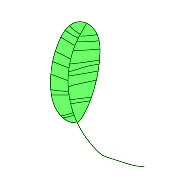 La hoja vectorial de la mano de plátano dibujado. Ilustración tropical y botánica arte de línea verde sobre un fondo blanco aislado.Diseño para web, redes sociales, pegatinas, tarjetas, embalaje, papel pintado . — Vector de stock