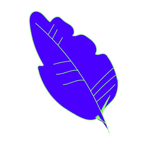 Vector Leaf Blue Banana Hand Drawn Tropical Botanical Illustration Green — 스톡 벡터