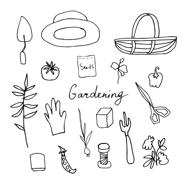 Vektör klipsi sanat çiçekleri, saksılar, kuş, tohumlar, makas, kova. İllüstrasyon koleksiyonu beyaz izole bir arkaplan çizgisi üzerinde siyahtır. Paketleme, boyama, kartlar, web.