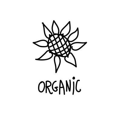 Vektör tek ayçiçeği. Ekolojik illüstrasyon, beyaz izole bir arkaplanda siyah çizgi çiziyor. Sosyal medya, web, kartlar, tekstil, ambalaj kağıdı, baskı, boyama için tasarım.