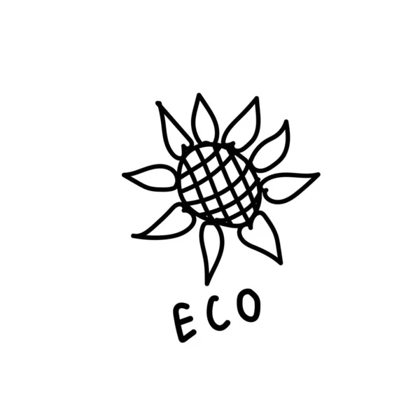 Vector Enkele Zonnebloem Ecologische Illustratie Doodle Zwarte Lijn Een Witte — Stockvector