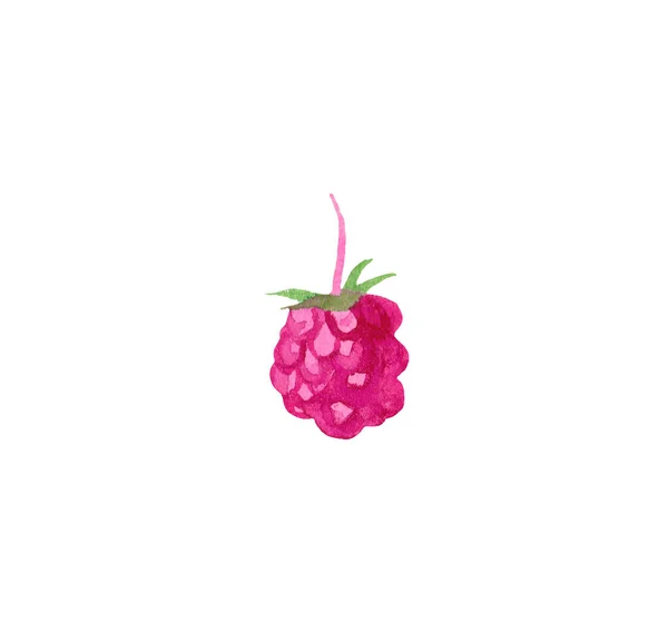 분홍빛 라즈베리 손으로 배경의 네트워크 디자인 스티커 현수막 포스터 — 스톡 사진