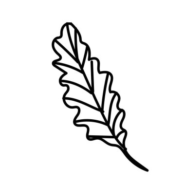 Calathea elinin vektör yaprağı çizilmiş. Beyaz izole bir arka planda tropikal ve botanik çizim siyah çizgi sanatı. Web, sosyal ağlar, tekstil, çıkartmalar, kartlar, paketleme için tasarım.