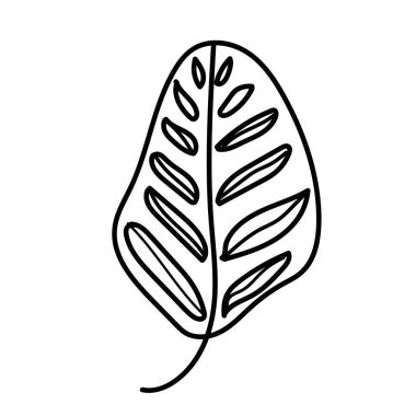 Calathea elinin vektör yaprağı çizilmiş. Beyaz izole bir arka planda tropikal ve botanik çizim siyah çizgi sanatı. Web, sosyal ağlar, tekstil, çıkartmalar, kartlar, paketleme için tasarım.