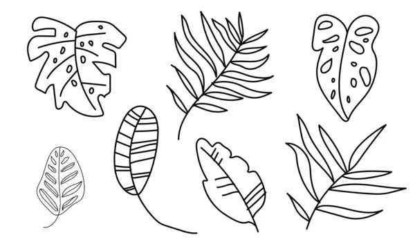 Ensemble Vectoriel Feuilles Tropicales Monstres Bananiers Palmiers Calathea Illustration Botanique — Image vectorielle