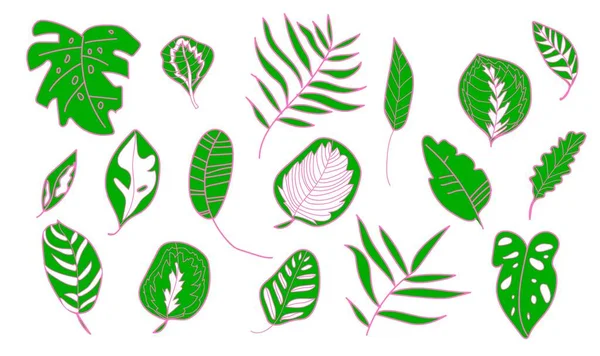 Vector Set Tropical Leaves Monsters Banana Palm Trees Calathea Botanical — стоковый вектор
