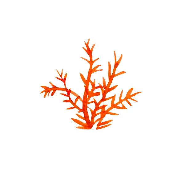 Lush Lava 바탕에 식물의 스티커 프린트 포장을 디자인 — 스톡 사진