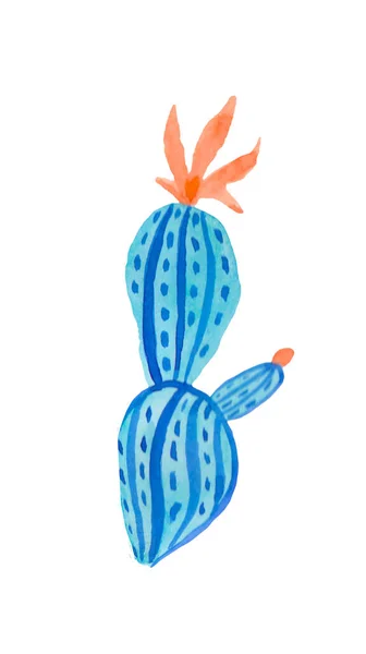 Cactus Aquarelle Dans Aqua Menthe Phantom Blue Lave Luxuriante Illustration — Photo