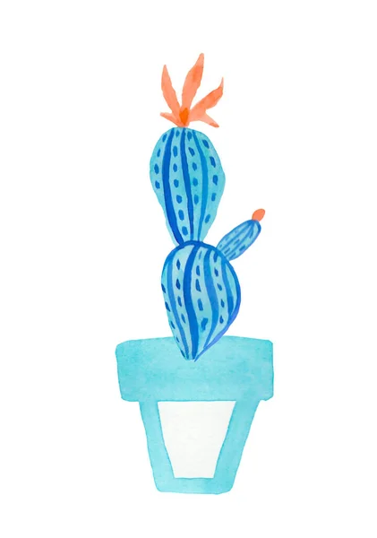 Watercolor Cactus Aqua Menthe Phantom Blue Lush Lava Illustration Home — Stock Photo, Image