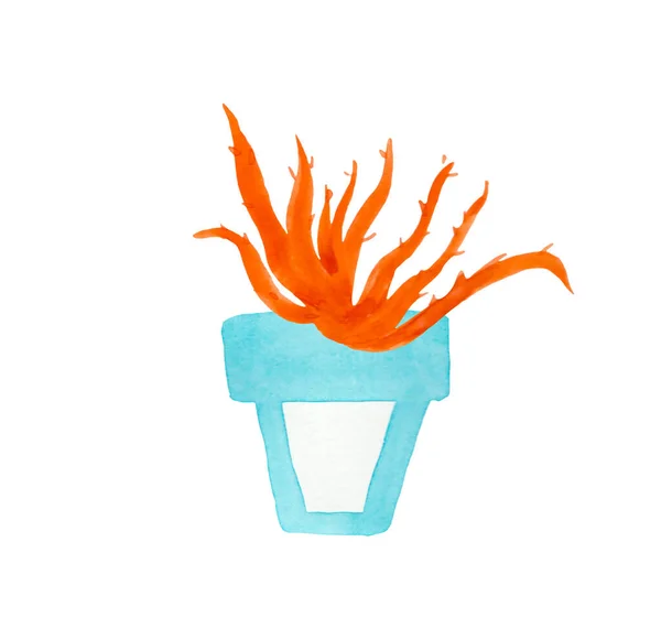 Филиал Акварельной Комнаты Lush Lava Иллюстрация Домашнего Растения Белом Изолированном — стоковое фото