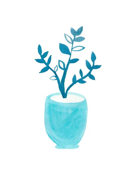 Aquarela Zamioculcas Azul Fantasma Uma Ilustração Zanzibar Jóia Mão Planta — Fotografia de Stock